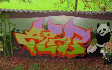 Graffiti Wall - Photo by SLAP - zlap, slap (2014)