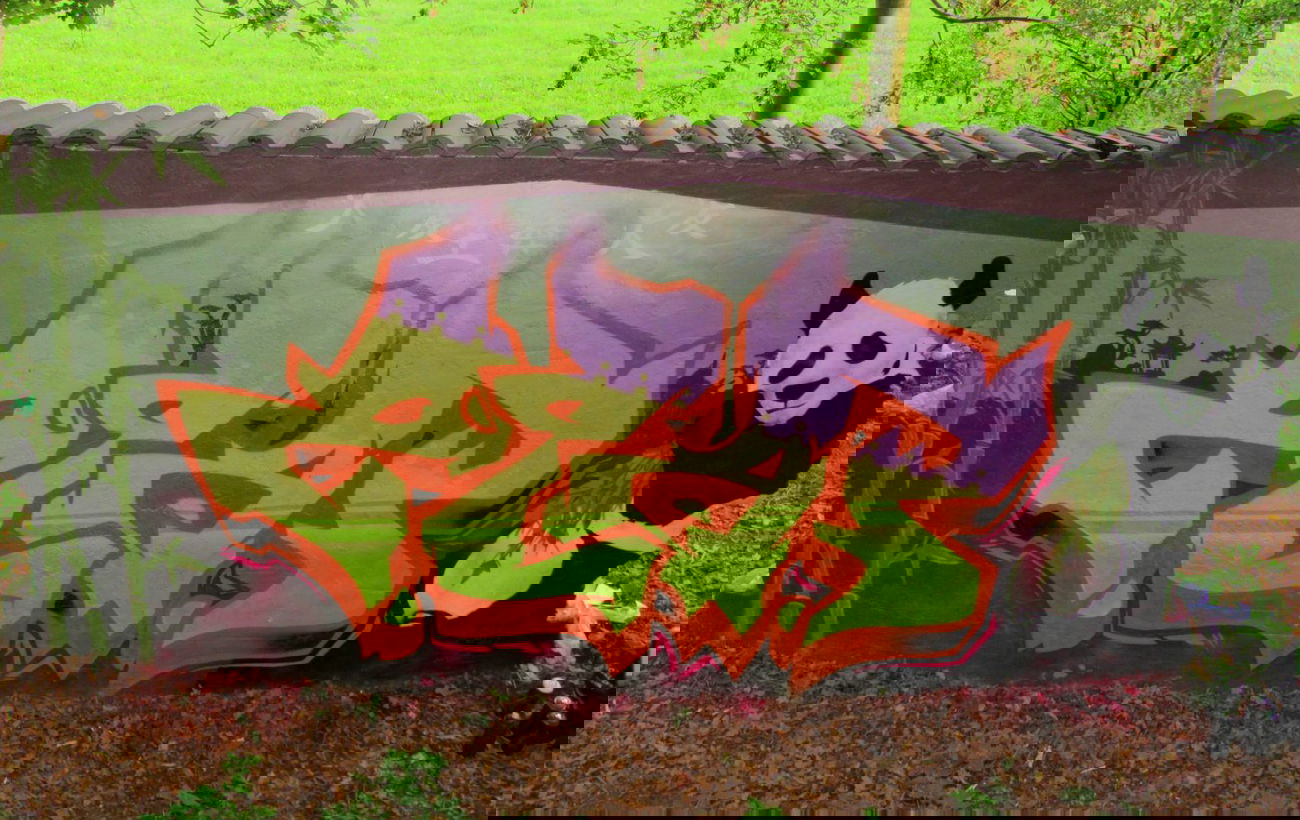 Graffiti Wall - Photo by SLAP - zlap, slap (2014)