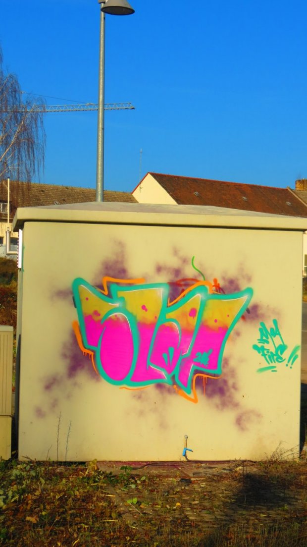 Graffiti Bombing - Photo by SLAP - slap (2014)