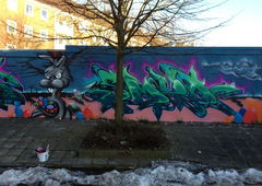 Photo #12199 by ZEOT