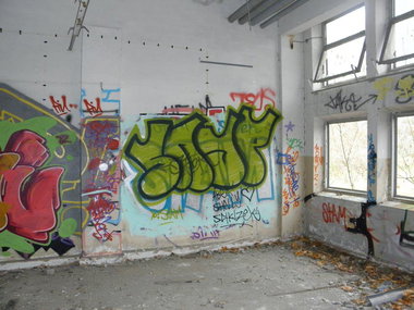 Graffiti Bombing - Photo by SNAPone