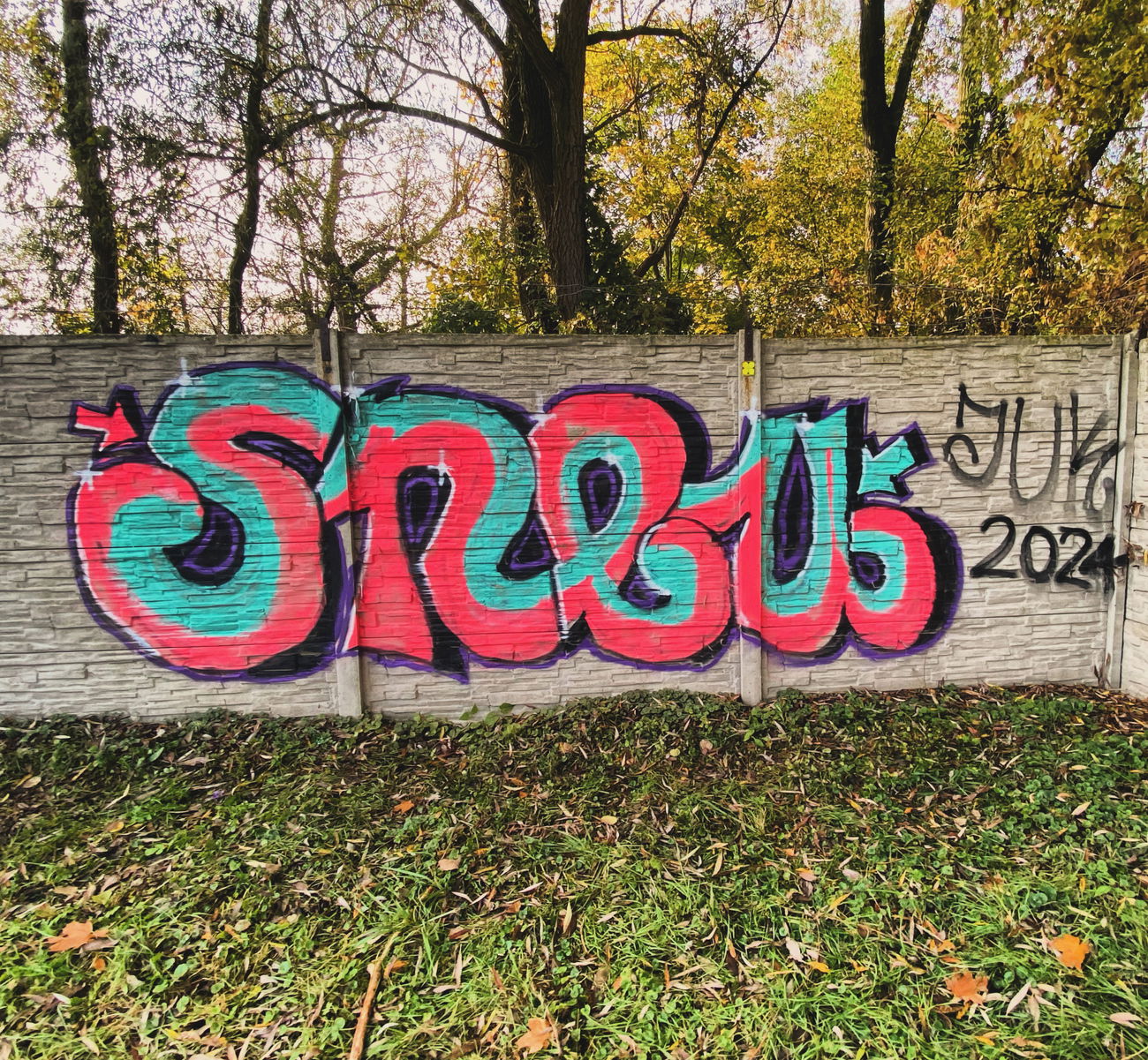 Graffiti Wall in Polska - Photo by SNEU (2024)