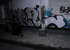 Photo #54923 by pizgaodwschodu