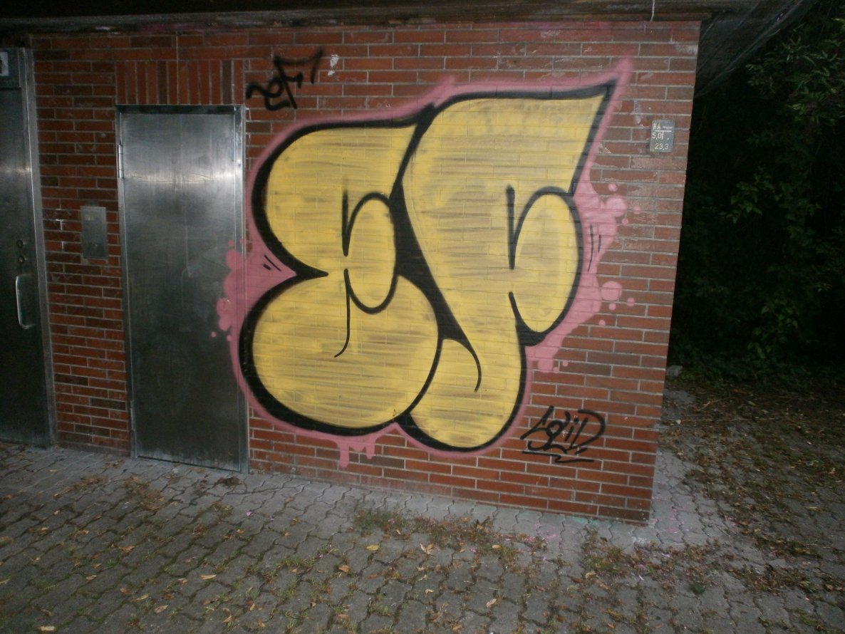 Graffiti Bombing - Photo by SOLID