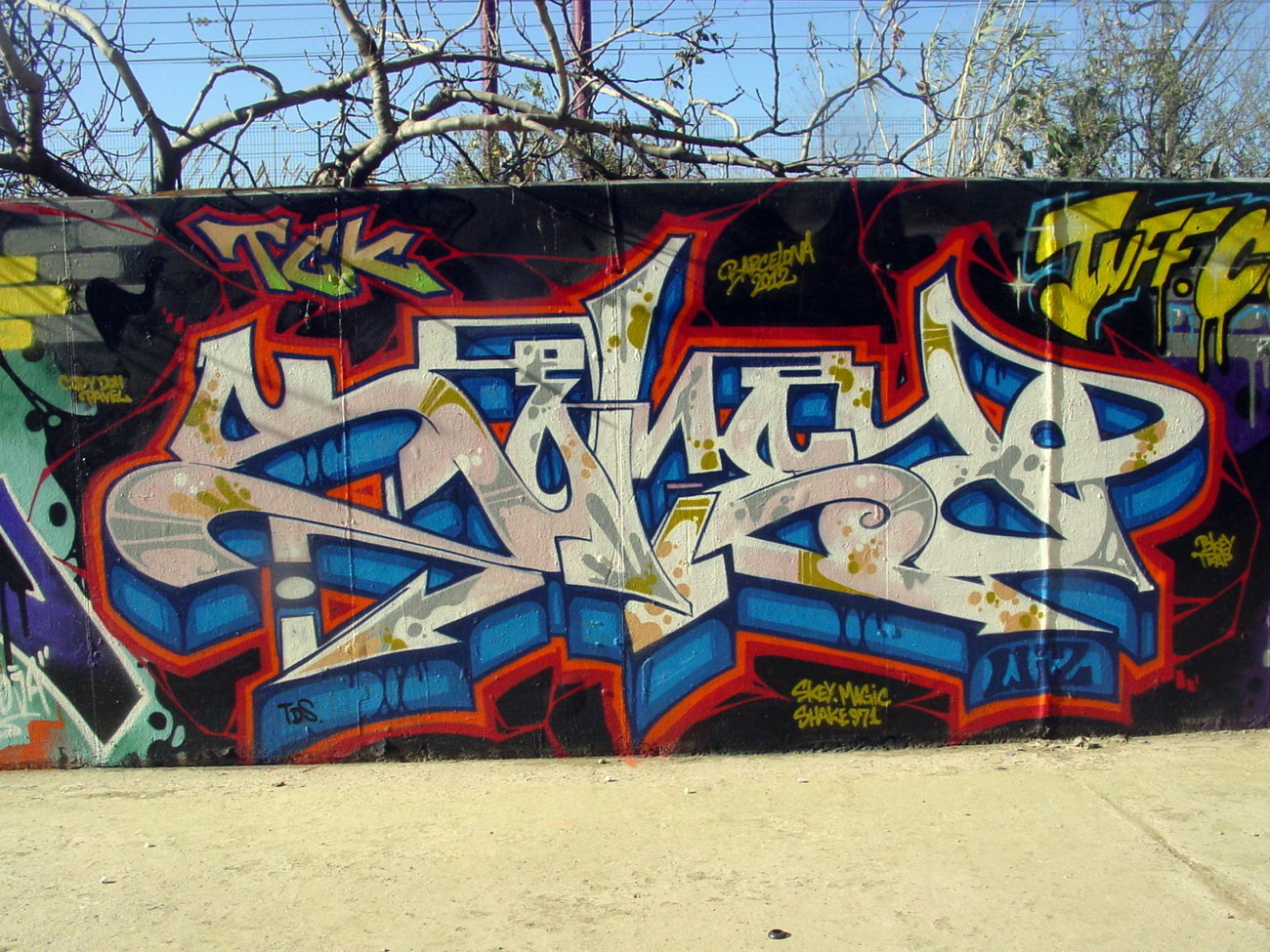 Graffiti Wall - Photo by SOMEY - NHS, TCK, WIZARDS (2013)