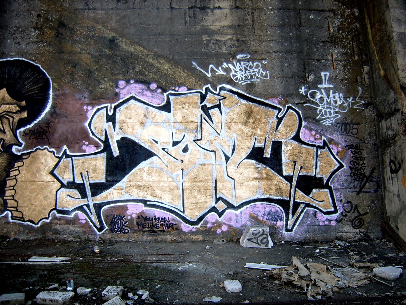 Graffiti Photo by SOMEY (2004)