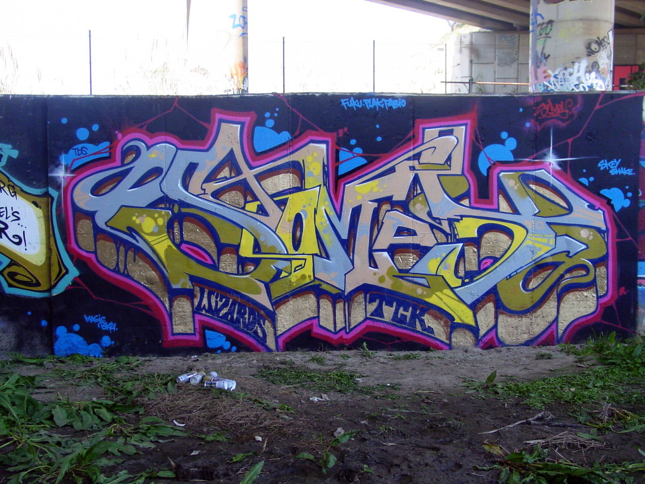 Graffiti Wall - Photo by SOMEY - NHS, TCK, WIZARDS (2013)