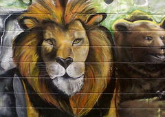 Photo #84501 by Dream