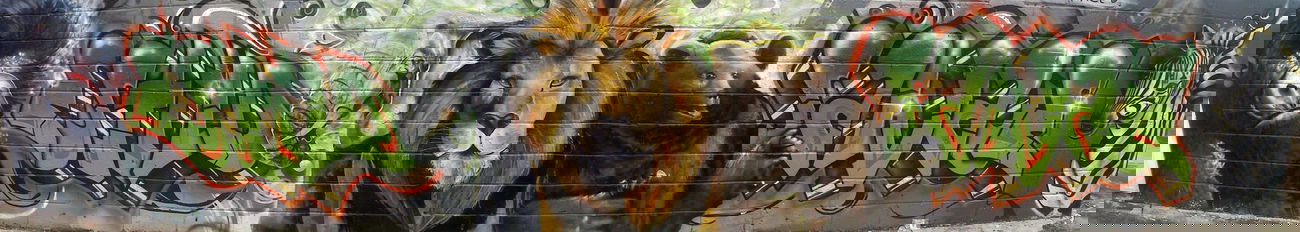 Graffiti Wall - Photo by SOMMER - sommer, pezker, nova