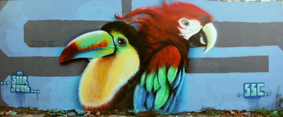 Graffiti Wall in Hanoi - Photo by SOOR1 - SOOR1 (2013)