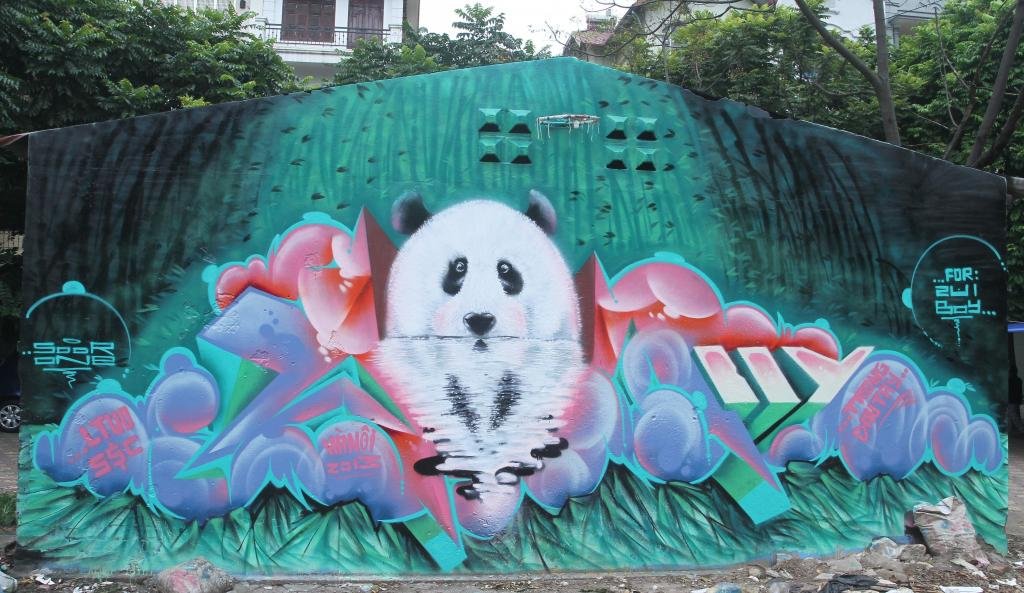 Graffiti Wall in Vietnam - Photo by SOOR1 - SOOR1 (2013)