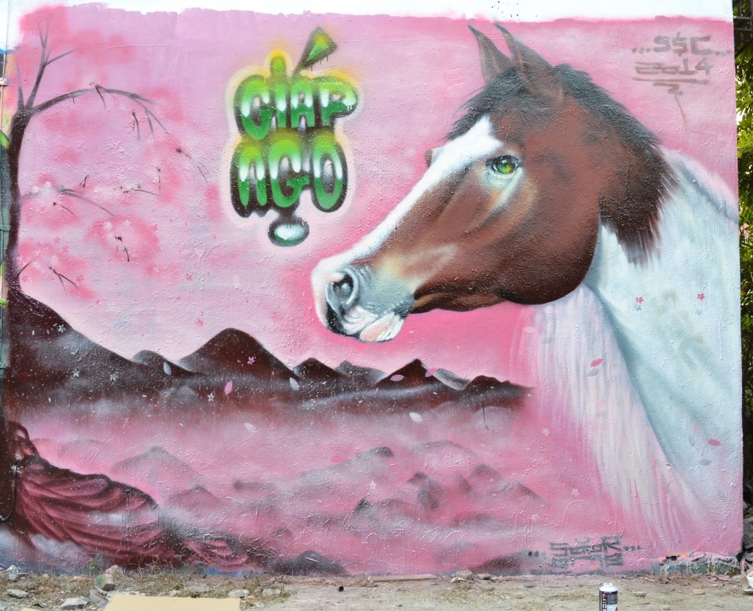 Graffiti Wall in Vietnam - Photo by SOOR1 - SOOR1 (2014)