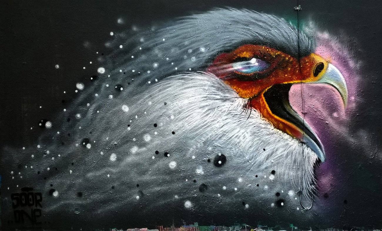 Graffiti Wall - Photo by SOOR1 - SOOR1 (2014)