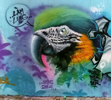 Graffiti Wall - Photo by SOOR1 - SOOR1 (2014)