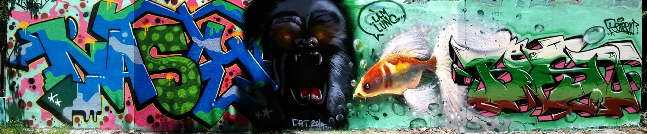 Graffiti Wall - Photo by SOOR1 - SOOR1 (2014)