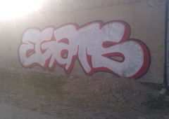 Photo #76388 by onet1vec