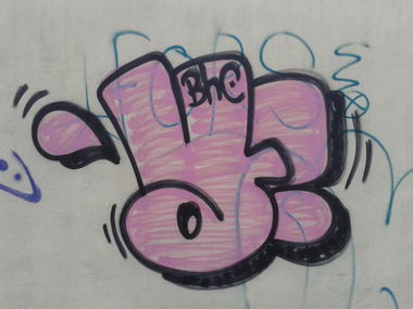 Graffiti Bombing - Photo by SORF