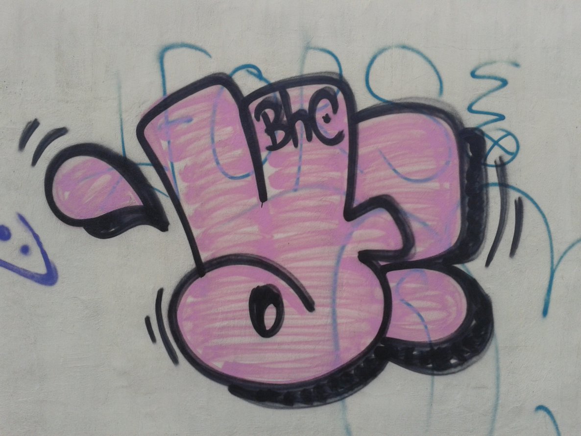 Graffiti Bombing - Photo by SORF