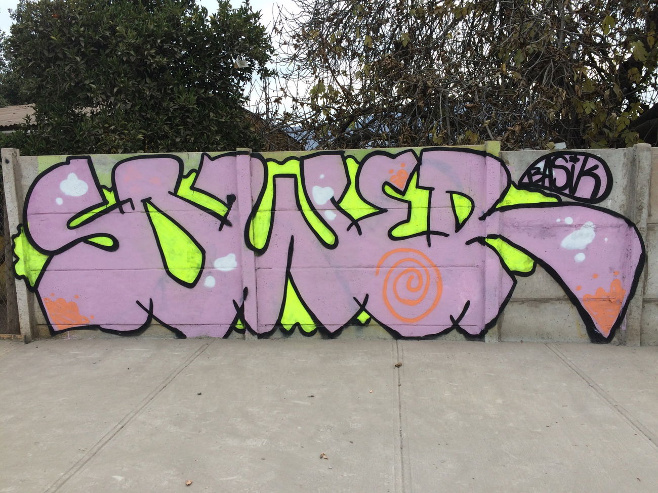 Graffiti Wall - Photo by SOWER36 - SOWER36 (2015)