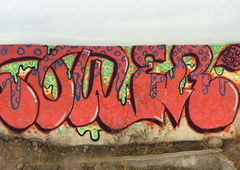 Photo #185359 by wise