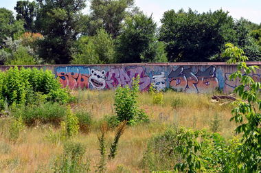 Graffiti Wall - Photo by SPGS