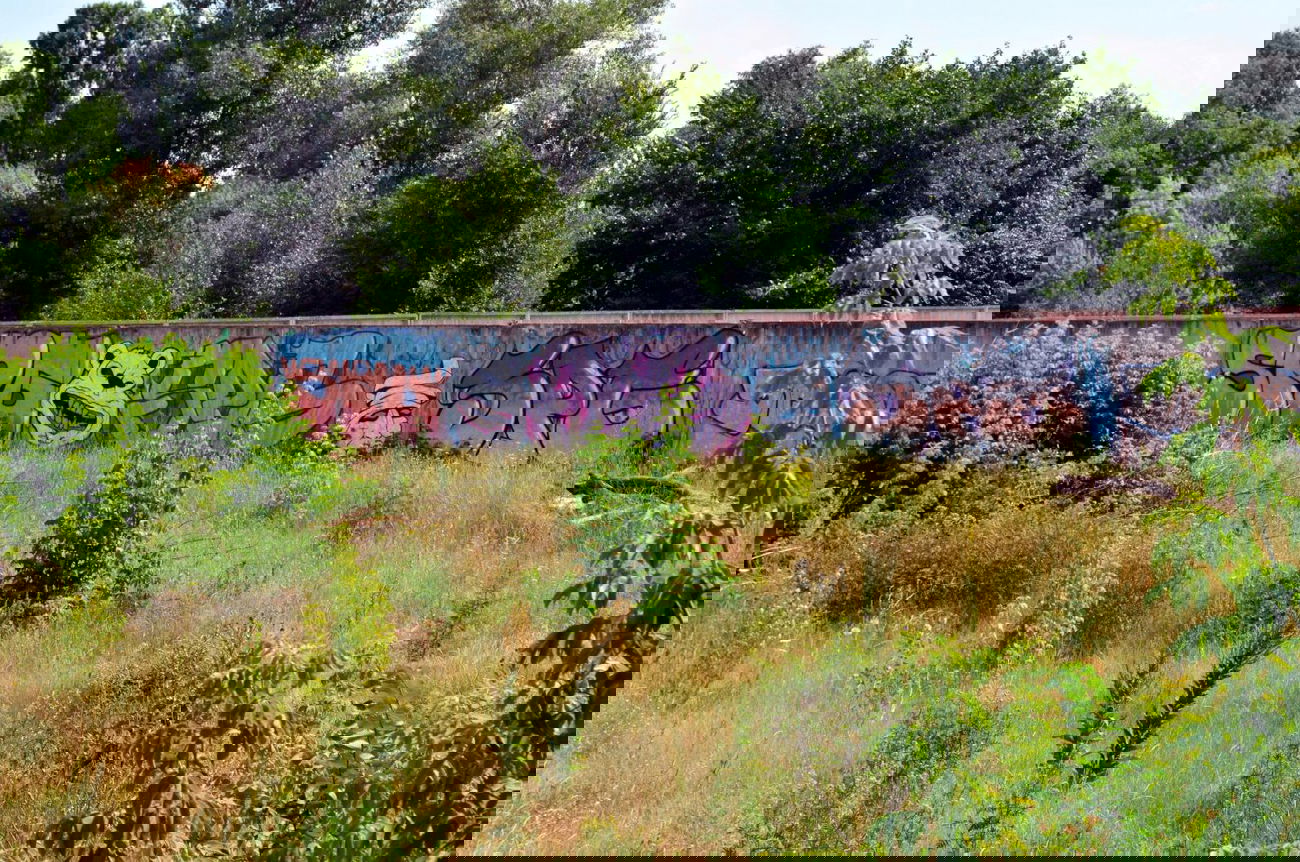 Graffiti Wall - Photo by SPGS