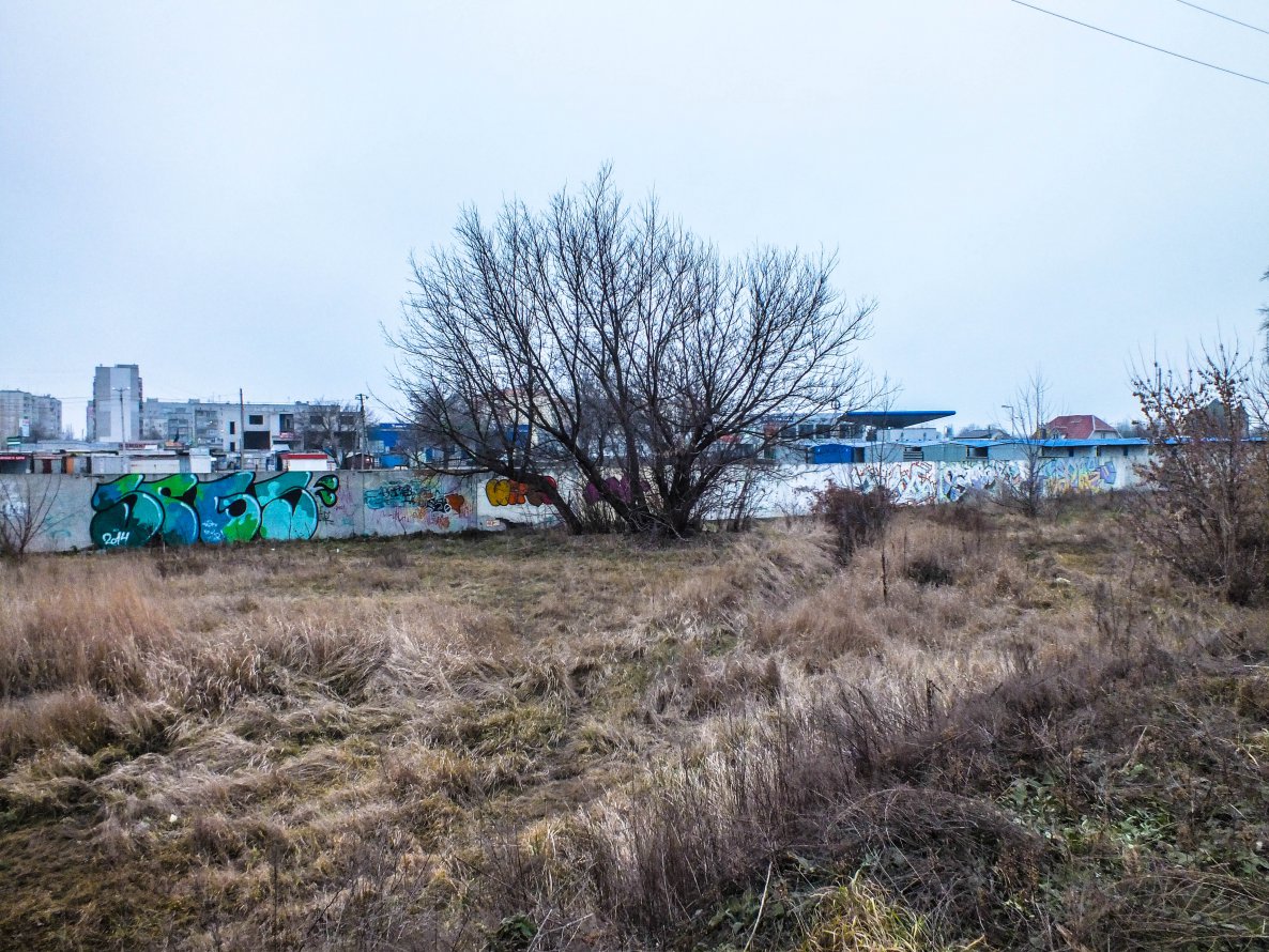 Graffiti Bombing - Photo by SPGS