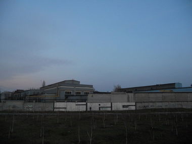 Graffiti Bombing - Photo by SPGS