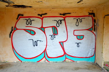 Graffiti Bombing - Photo by SPGS