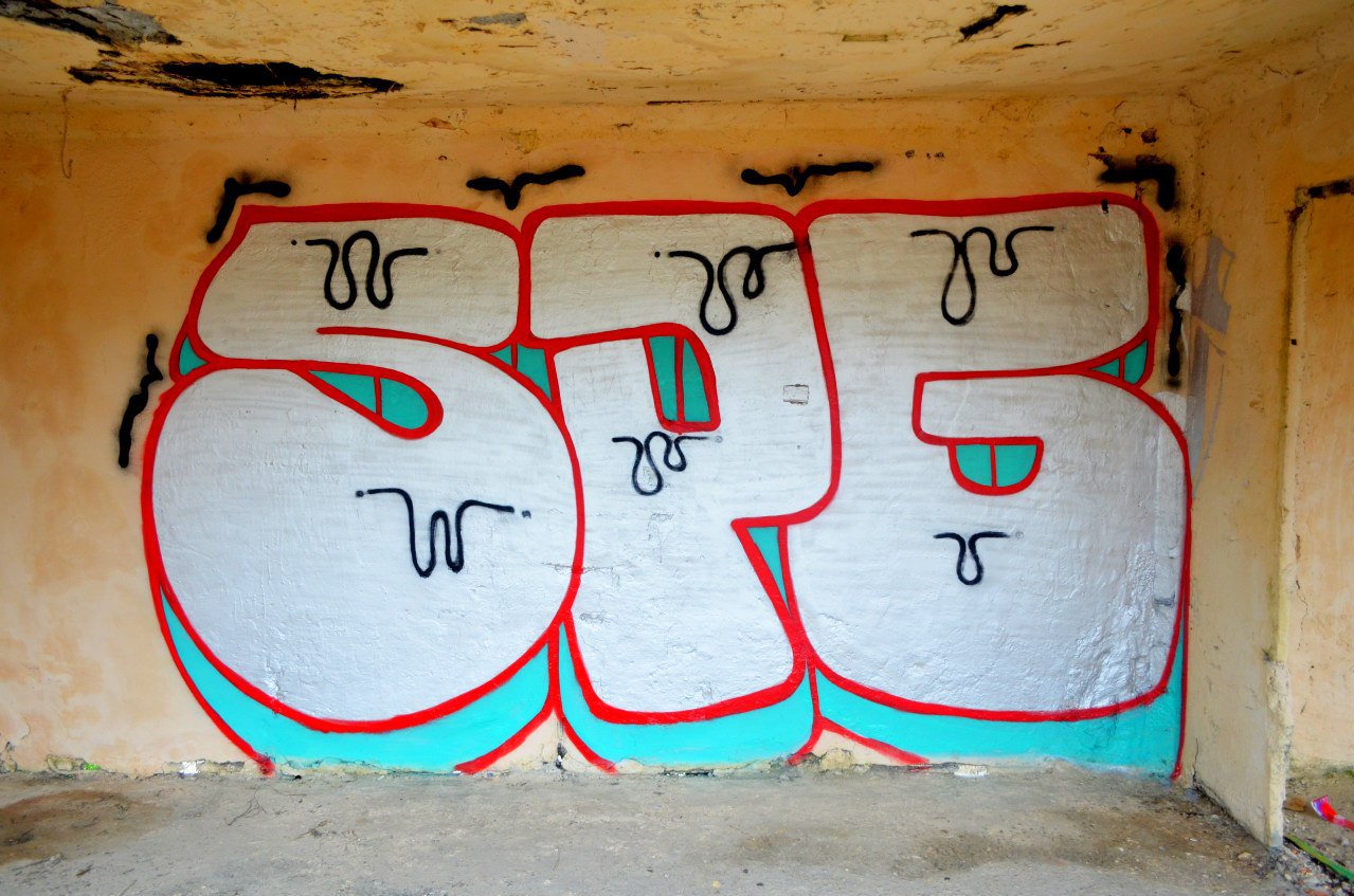 Graffiti Bombing - Photo by SPGS