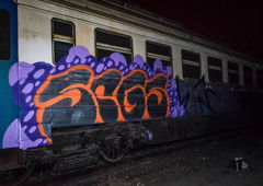 Photo #123867 by Nets1