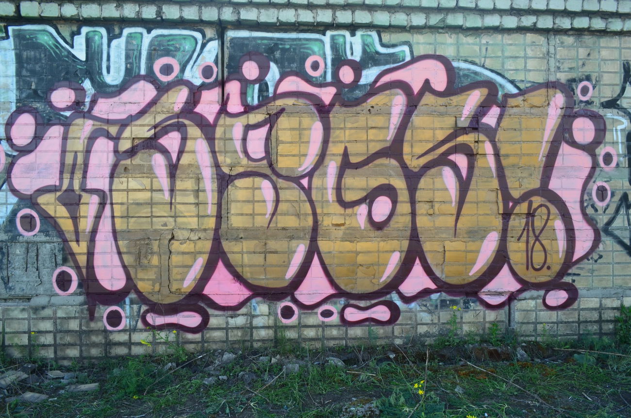 Graffiti Bombing - Photo by SPGSCREW - SPGS (2018)