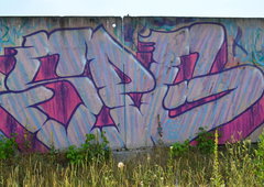 Photo #219332 by COROBFORM