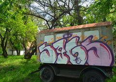 Photo #219330 by Homs