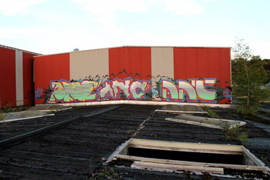 Graffiti Bombing - Photo by SPIELZEUGTOY - anc (2014)