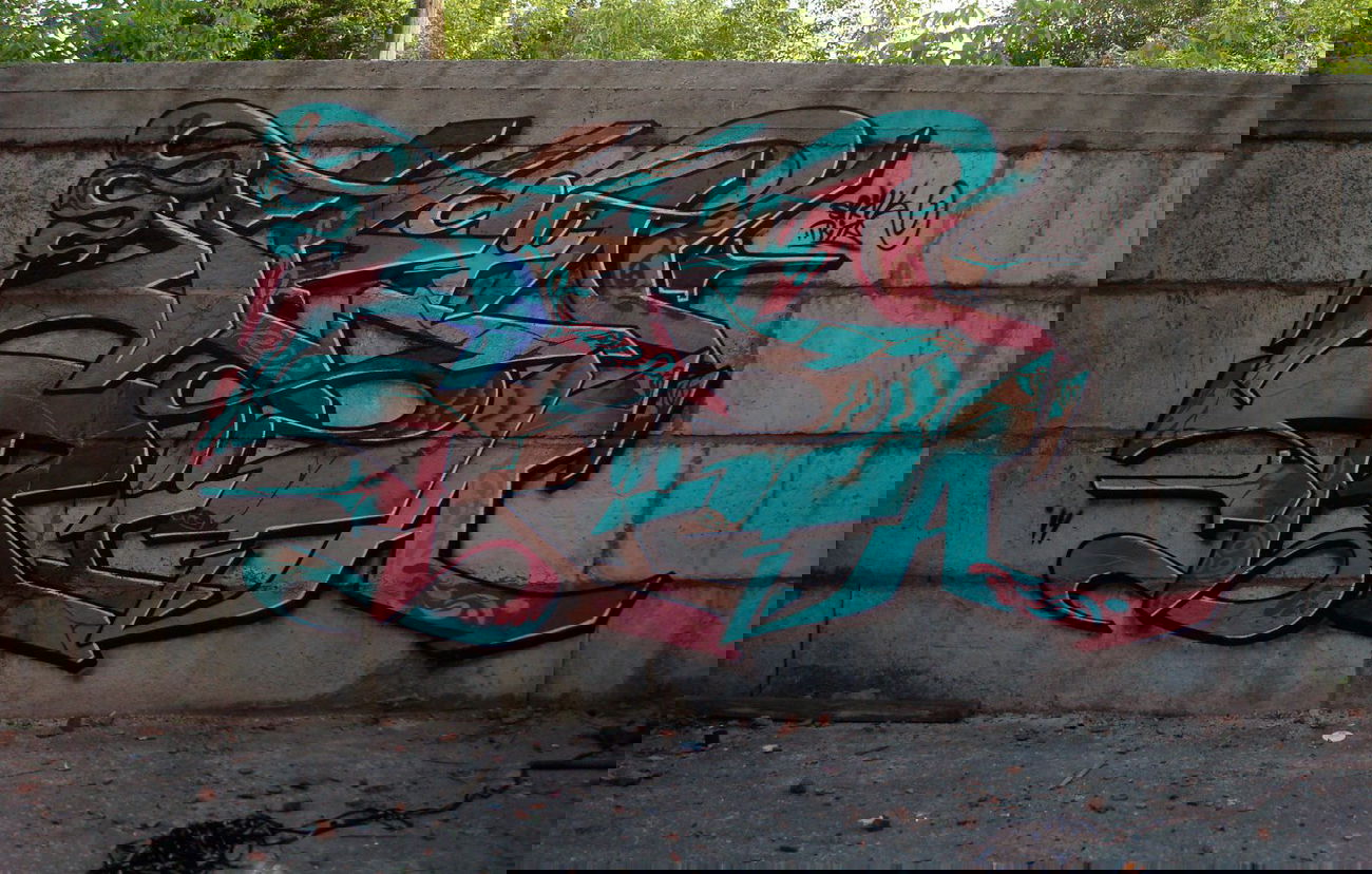 Graffiti Wall - Photo by SPIN_mch_k2s - spin, rita, 2014 (2014)