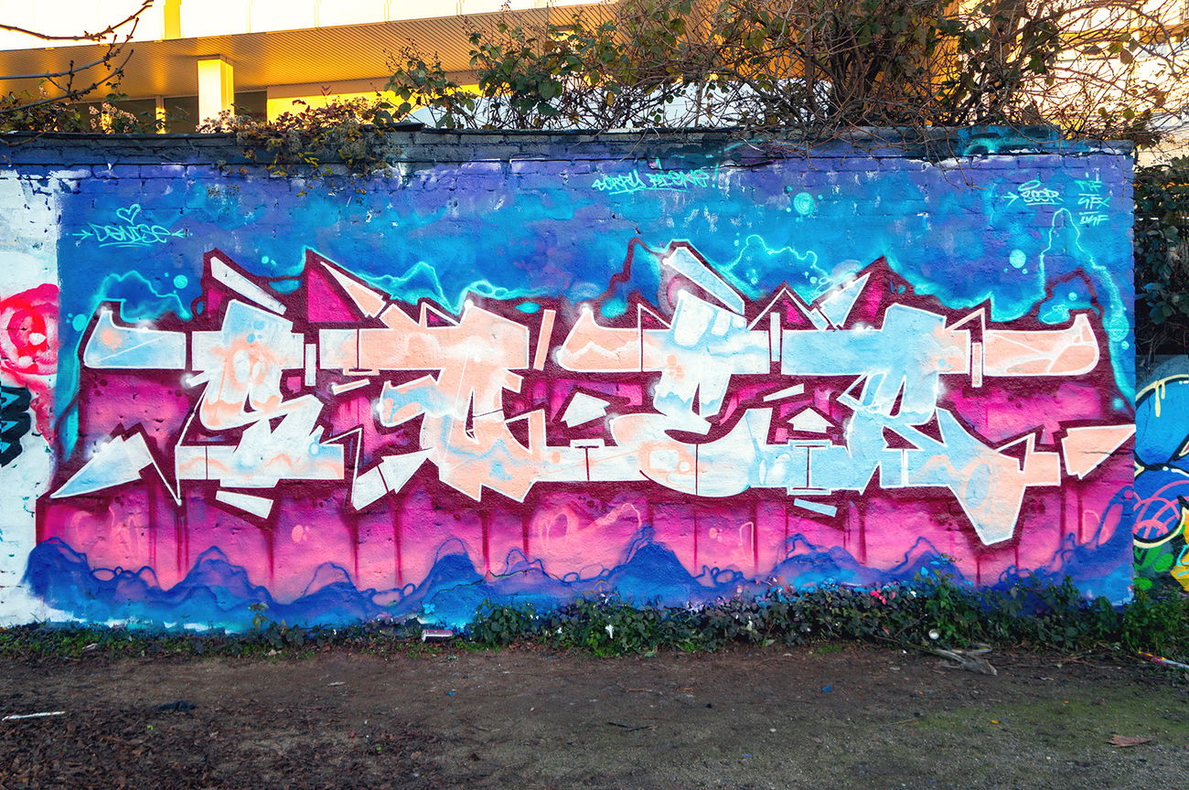 Graffiti Wall in Wiesbaden - Photo by SQERONE - Sqer, wiesbaden, schlachthof (2019)