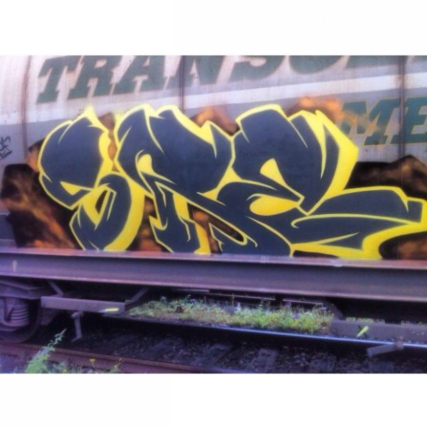 Graffiti Train - Photo by SREFone - freight, cargo, sref (2014)