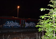 Photo #8463 by Nets1