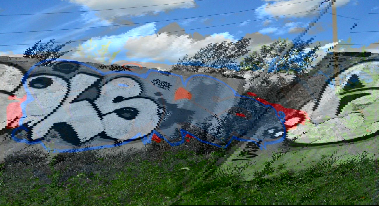 Graffiti Bombing in Donetsk - Photo by STADO - Baks (2014)