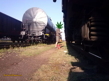 Graffiti Artwork in Chester - Photo by STAF - ceuf (2014)