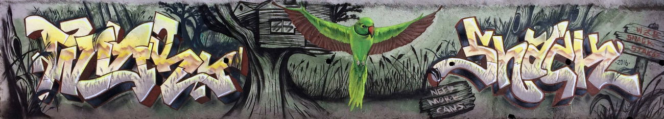 Graffiti Wall in Turkey - Photo by STAK67 - Ankara, Ankara, graffiti (2016)