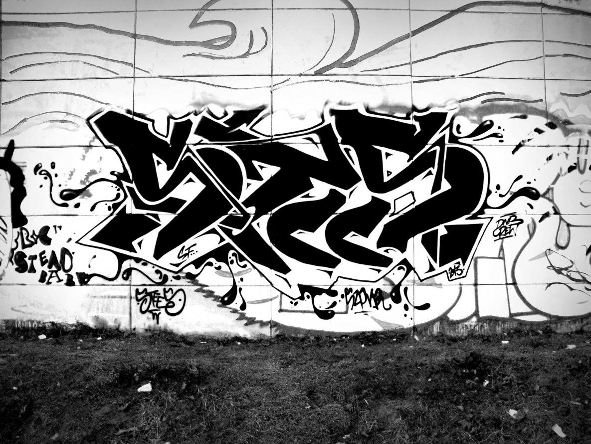 Graffiti Wall - Photo by STEES