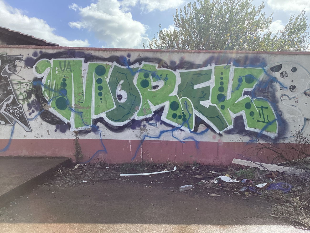 Graffiti Wall in Bar montenegro - Photo by SUCKER