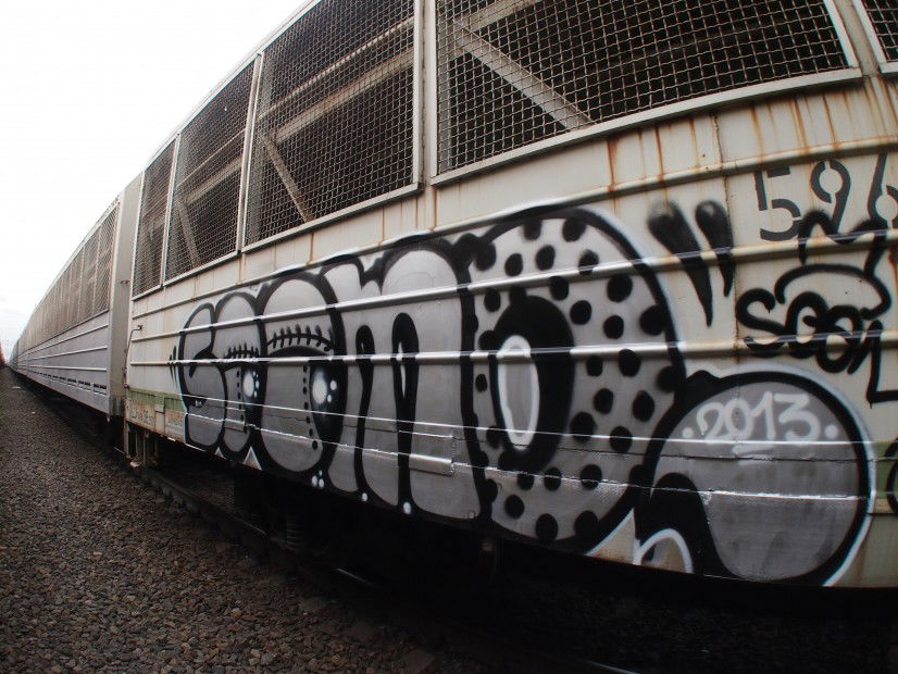 Graffiti Train - Photo by SUMO - Sumo, fr8, freights (2013)