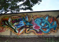 Photo #88054 by shiver