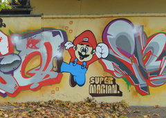 Photo #88139 by ANAZCREW