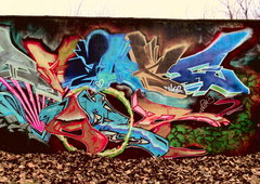 Photo #88370 by ANAZCREW