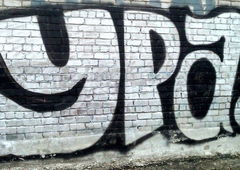 Photo #41952 by Basky