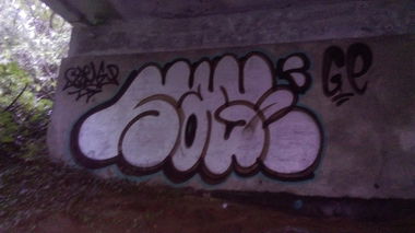 Graffiti Bombing - Photo by SaGEC